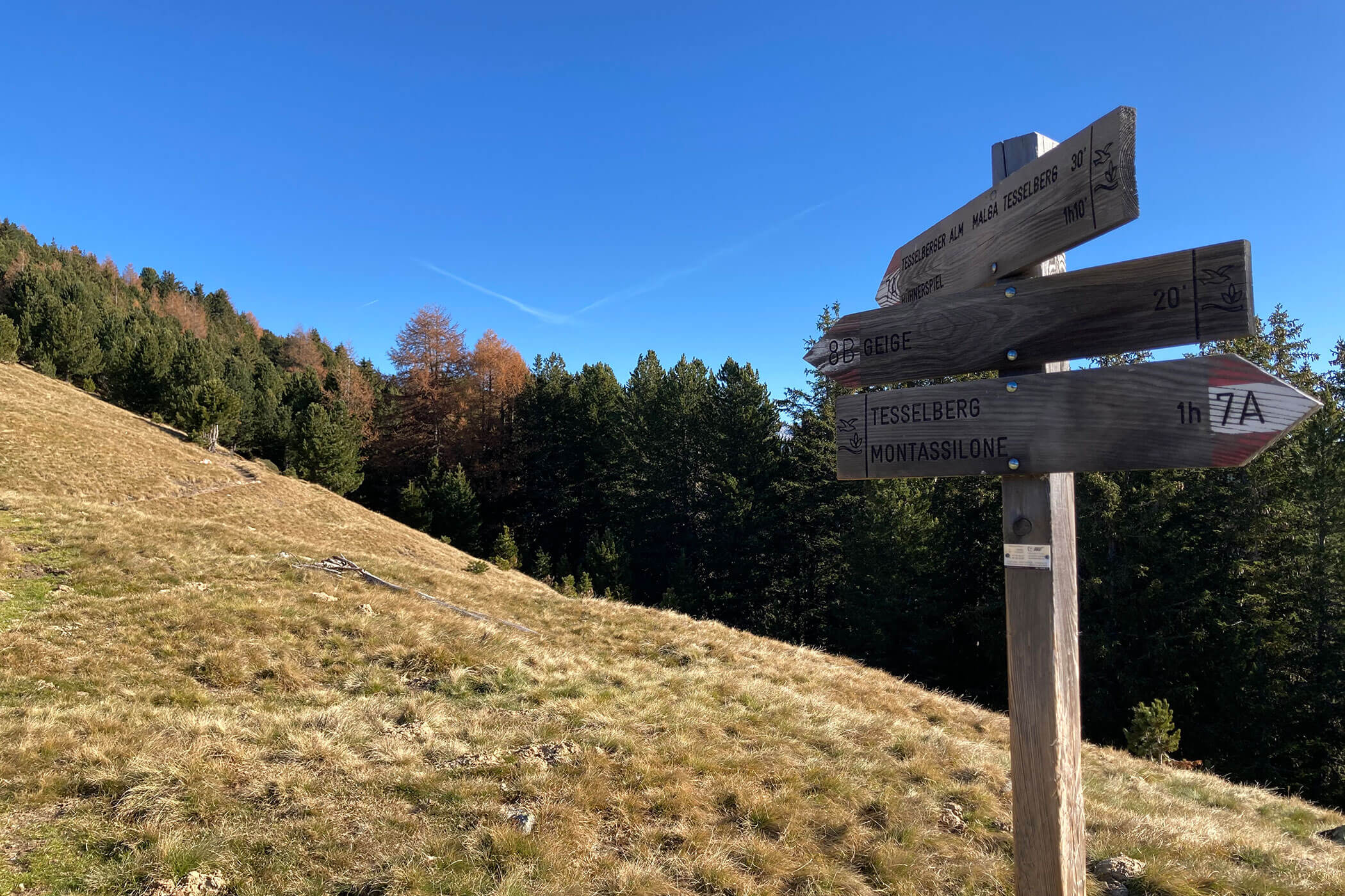 Signposts to the Tesselberg hut, Geige and the Tesselberg - Gisse Zwölf