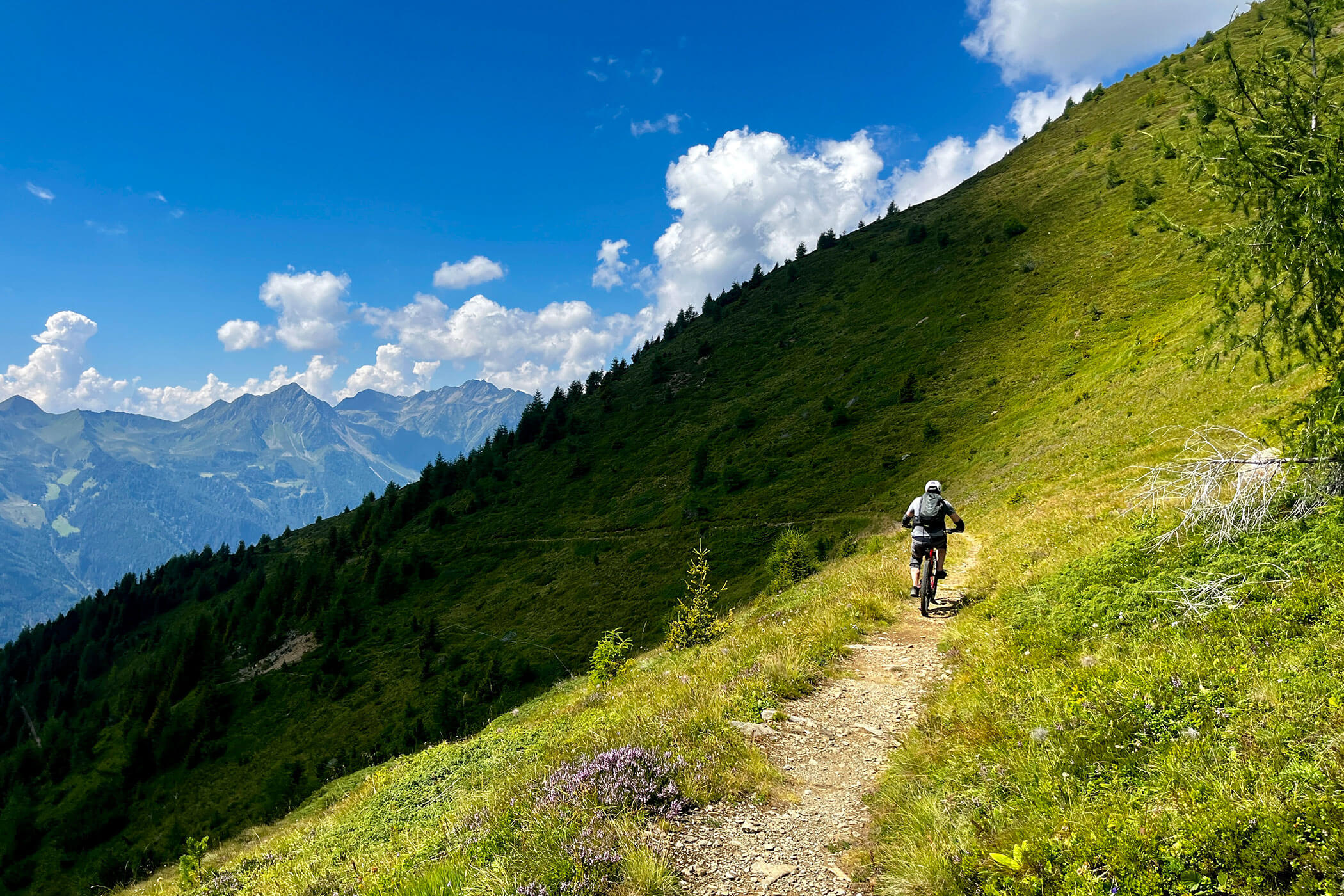 Cyclists riding through green meadows, with the mountains in the background - Gisse Zwölf